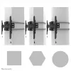 Neomounts TV sambakinnitus WL30S-910BL16 50 kg 40-75 tolli