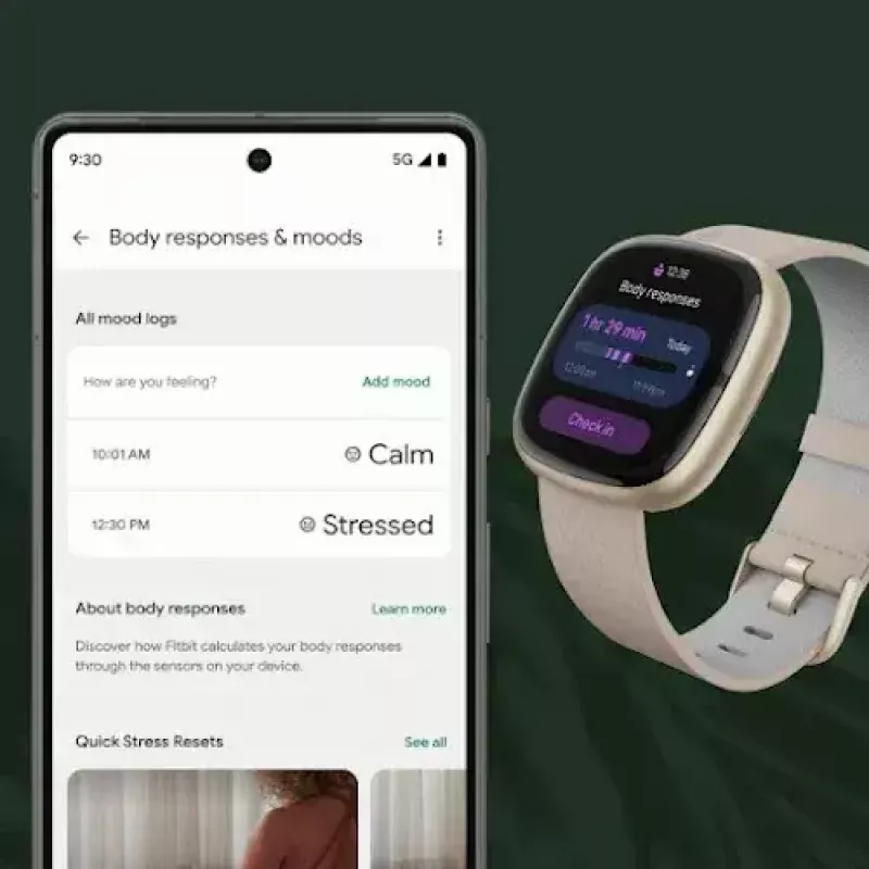 Nutikell Fitbit Sense 2