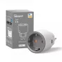 Nutipistik Sonoff S60 16A Wi-Fi-ga, kaugjuhtimise ja energiamonitooringuga