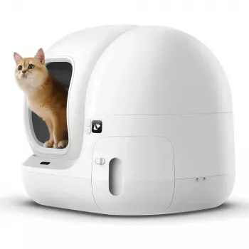 Isepuhastuv kassiliivakast PETKIT PURA MAX 2 — Valge, automatiseeritud puhastus