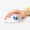 Hiir Logitech ERGO M575 juhtmevaba puutepall RF Wireless + Bluetooth