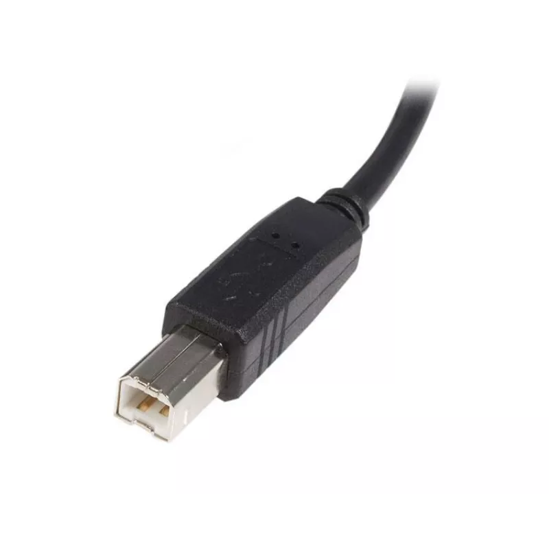 StarTech.com 2m USB 2.0 A-B kaabel - M/M, 2 m, USB A, USB B, USB 2.0, Isane/Isane, Must