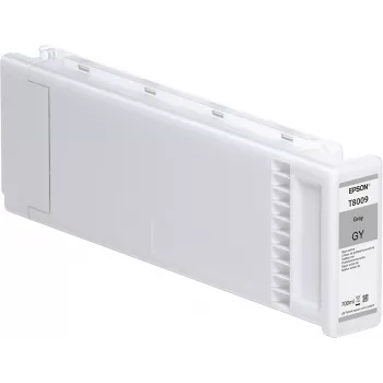 Epson Singlepack Hall T800900 UltraChrome PRO 700ml