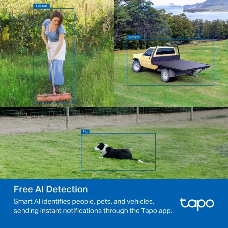 IP turvakaamera TP-Link TAPO C501GW 1920 x 1080 pikslit