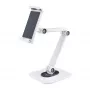 StarTech.com Reguleeritav tahvelarvuti alus lauale – seinale kinnitatav – kandevõime 2,2 naela (1 kg) – ergonoomiline liigendatav universaalne tahvelarvuti alus – tahvelarvuti hoidik lauale pööratav/pöörlev/pööratav
