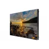 Digitaalne teabetahvel Samsung IF025R 2000 cd/m² 4K Ultra HD