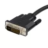 StarTech.com 10 jalga (3 m) DisplayPort-DVI-kaabel – DisplayPort-DVI-adapterkaabel 1080p video – DisplayPort-DVI-D-kaabel Single Link – DP-DVI-kuvarikaabel – DP 1.2-DVI-muundur