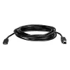 StarTech.com USB-C–USB-B printerikaabel – M/M – 3 m (10 jalga) – USB 2.0