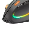 Hiir SPEEDLINK SL-630026-BK RF traadita optiline