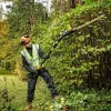 Võimas hekilõikur teibaga DeWALT DCMPH566N-XJ