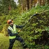 Võimas hekilõikur teibaga DeWALT DCMPH566N-XJ