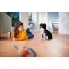 Philips PowerPro Expert FC9744/09 tolmuimeja 2 L Kompakttolmuimeja Kuiv 900 W Kotita