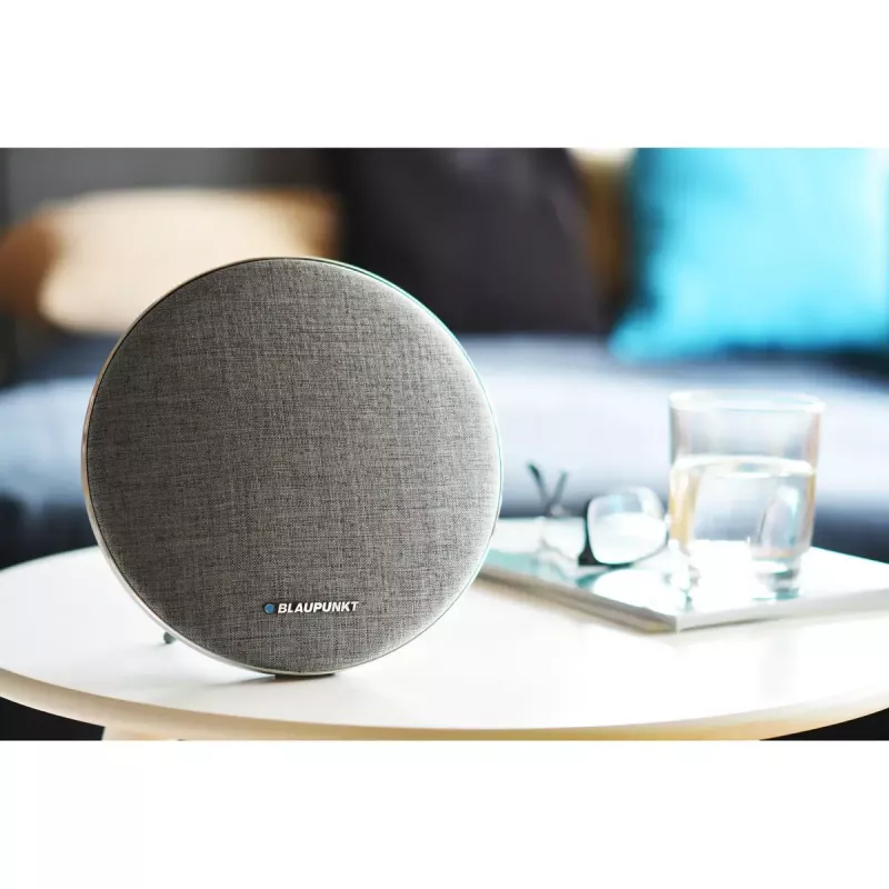Blaupunkt BT11ALU kaasaskõlar alumiinium