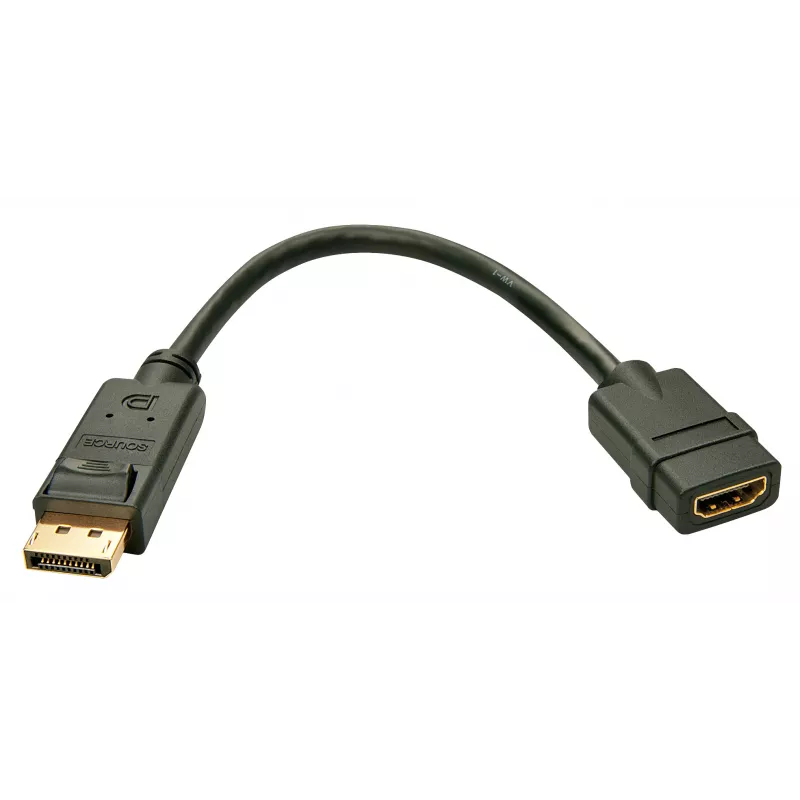 Lindy DisplayPort 1.2 HDMI 1.3 muundur