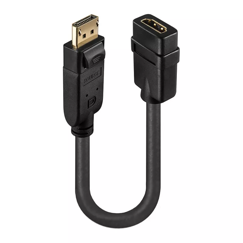 Lindy DisplayPort 1.2 HDMI 1.3 muundur