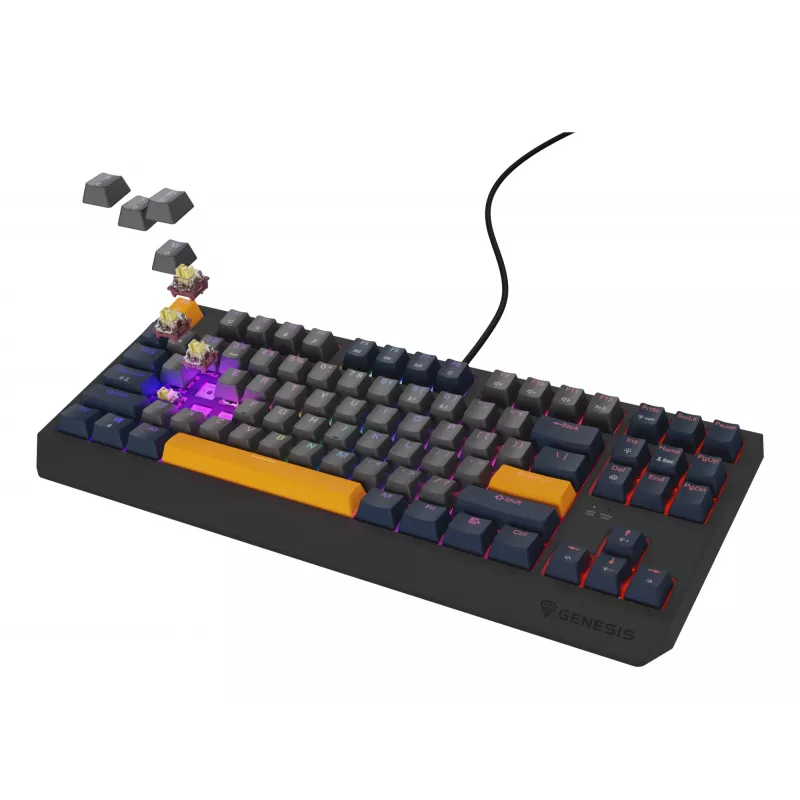 GENESIS Thor 230 TKL klaviatuur Gaming USB QWERTY English Blue