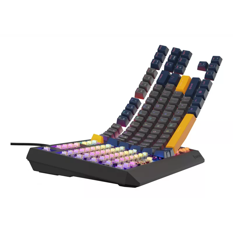 GENESIS Thor 230 TKL klaviatuur Gaming USB QWERTY English Blue