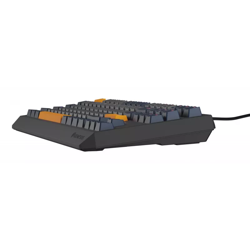 GENESIS Thor 230 TKL klaviatuur Gaming USB QWERTY English Blue