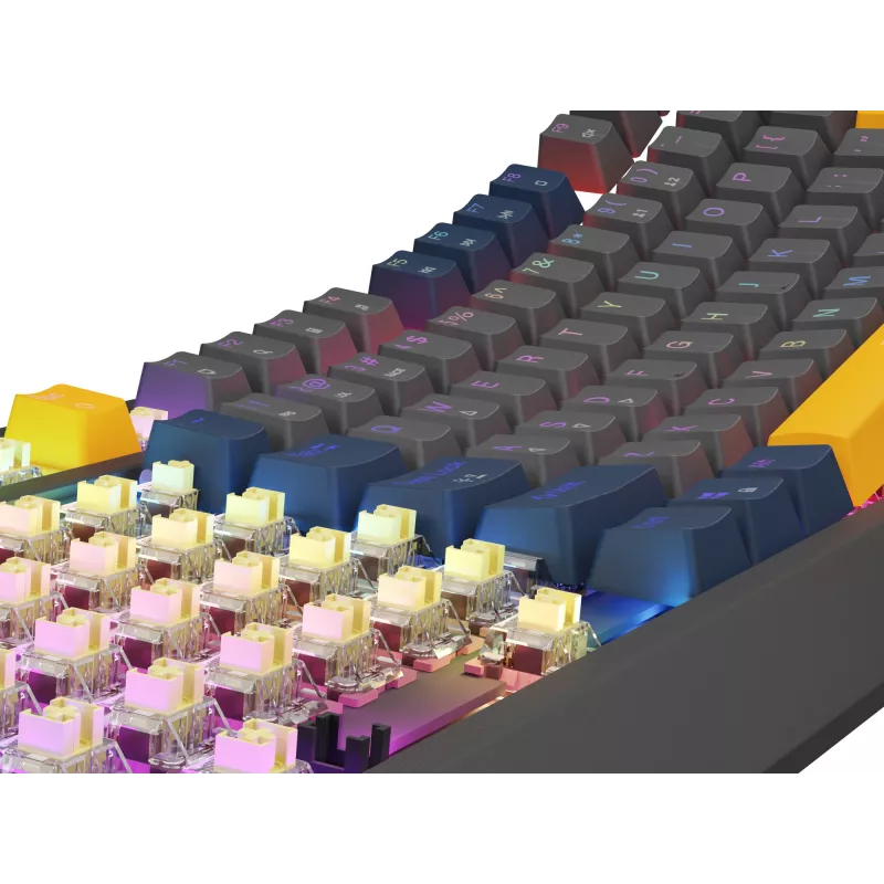 GENESIS Thor 230 TKL klaviatuur Gaming USB QWERTY English Blue