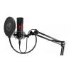 PC mikrofon ENDORFY Solum Streaming, USB-C juhtmega kardioidne, 48 kHz/16-bit, 18–21000 Hz, lauakinnitus, põrutuskinnitus ja popfilter