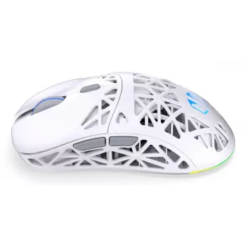 Juhtmevaba mängurihiir ENDORFY LIV Onyx Valge — Bluetooth/2.4GHz, 12000 DPI, mõlemakäeline, aRGB-valgustus, 6 nuppu, USB-A/USB-C kaabel