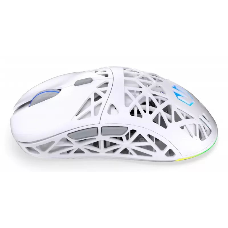 Juhtmevaba mängurihiir ENDORFY LIV Onyx Valge — Bluetooth/2.4GHz, 12000 DPI, mõlemakäeline, aRGB-valgustus, 6 nuppu, USB-A/USB-C kaabel