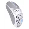 Juhtmevaba mängurihiir ENDORFY LIV Onyx Valge — Bluetooth/2.4GHz, 12000 DPI, mõlemakäeline, aRGB-valgustus, 6 nuppu, USB-A/USB-C kaabel