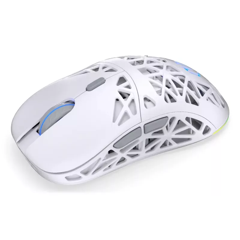 Juhtmevaba mängurihiir ENDORFY LIV Onyx Valge — Bluetooth/2.4GHz, 12000 DPI, mõlemakäeline, aRGB-valgustus, 6 nuppu, USB-A/USB-C kaabel