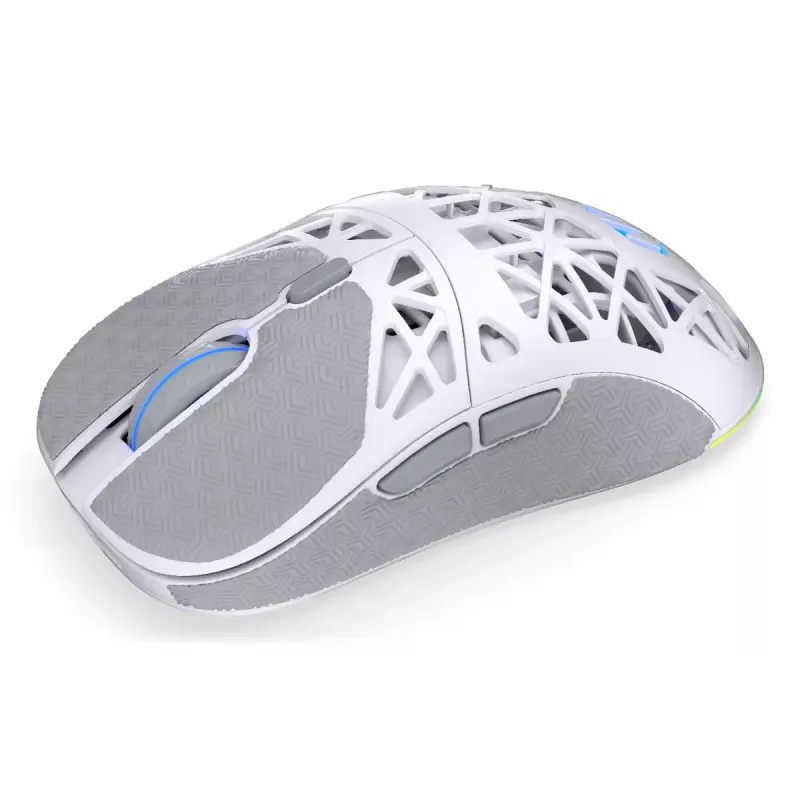 Juhtmevaba mängurihiir ENDORFY LIV Onyx Valge — Bluetooth/2.4GHz, 12000 DPI, mõlemakäeline, aRGB-valgustus, 6 nuppu, USB-A/USB-C kaabel