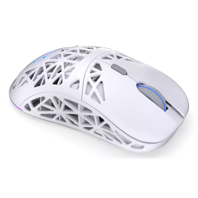 Juhtmevaba mängurihiir ENDORFY LIV Onyx Valge — Bluetooth/2.4GHz, 12000 DPI, mõlemakäeline, aRGB-valgustus, 6 nuppu, USB-A/USB-C kaabel