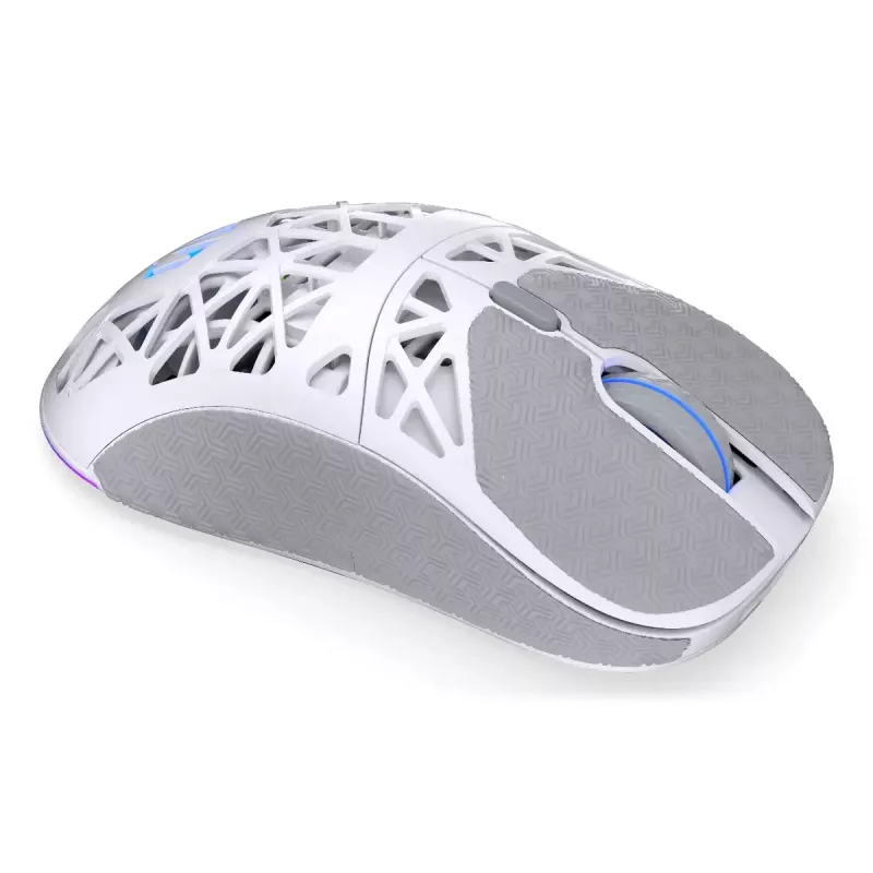 Juhtmevaba mängurihiir ENDORFY LIV Onyx Valge — Bluetooth/2.4GHz, 12000 DPI, mõlemakäeline, aRGB-valgustus, 6 nuppu, USB-A/USB-C kaabel