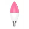 Nutipirn WOOX R9075 Wi-Fi 5 W valge