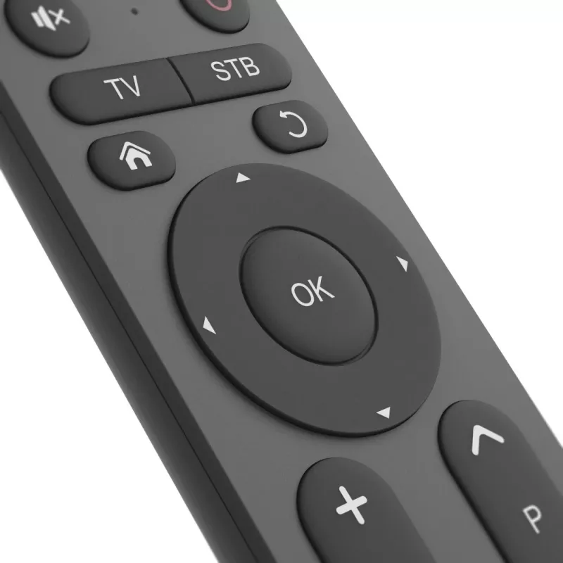 Kaugjuhtimispult Hama 00221056 IR juhtmevaba TV 31 nuppu 10 m ulatus