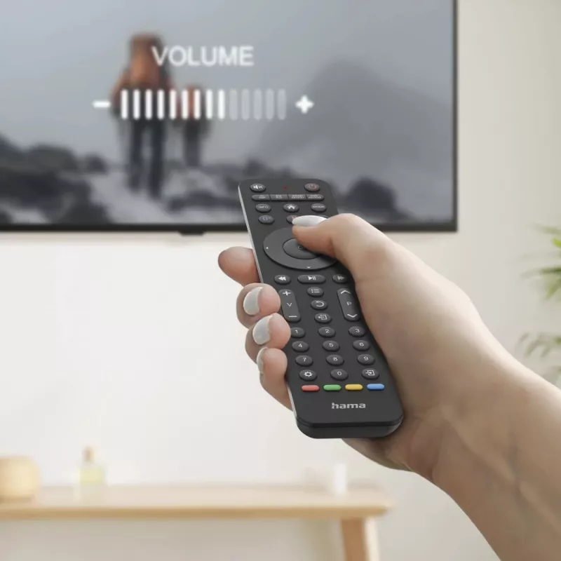 Hama 00221055 kaugjuhtimispult IR Wireless TV Press nupud