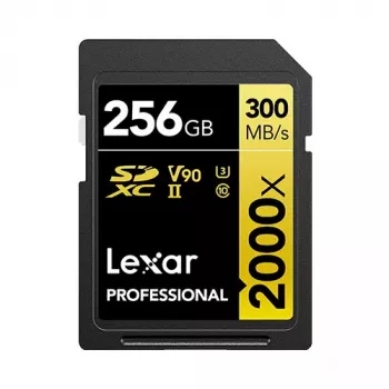 Mälukaart Lexar 256 GB SDXC Class 10 LSD2000256G-BNNNG