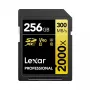 Mälukaart Lexar 256 GB SDXC Class 10 LSD2000256G-BNNNG