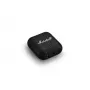 Kõrvaklapid Marshall Minor IV Wireless Headphones
