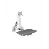 ICY BOX IB-MS600-W 61 cm (24 tolli) Seinahall, hõbedane, valge