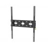 iiyama MD-WM6080 monitor mount / stand Wall Must