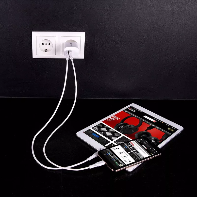 Indoor charger Lindy 73413 — universal AC 100–240V, output 12V 3A, USB-A + USB-C, Valge