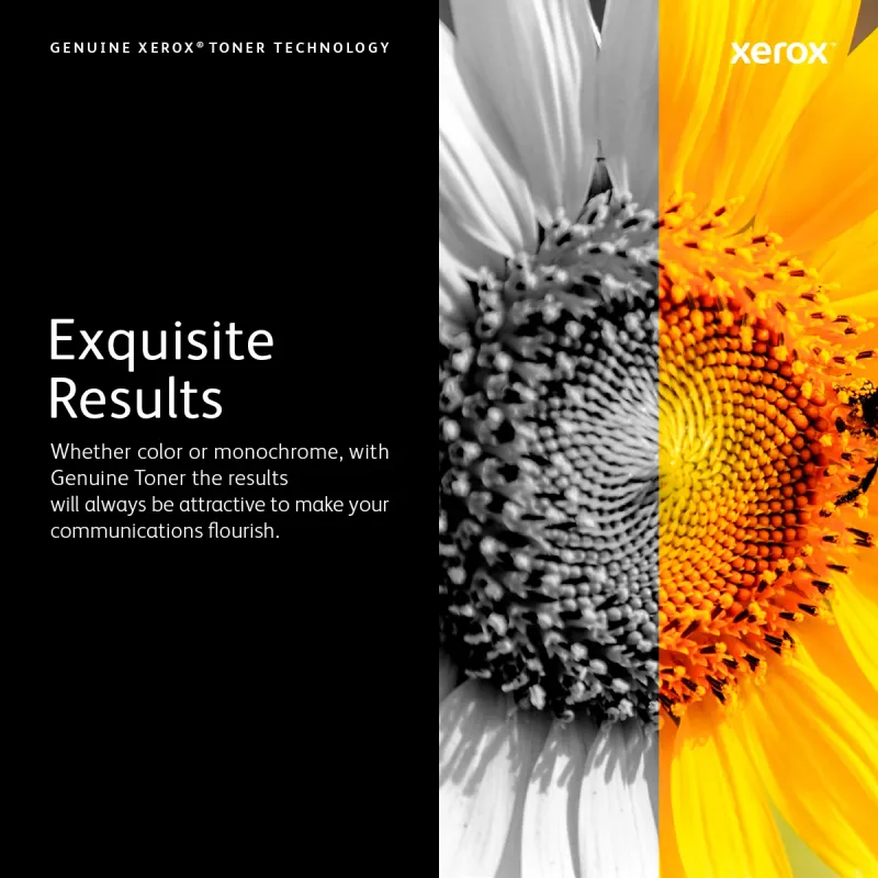 Xerox Genuine Phaser™ 6600, WorkCentre™ 6605 kollane toonerikassett