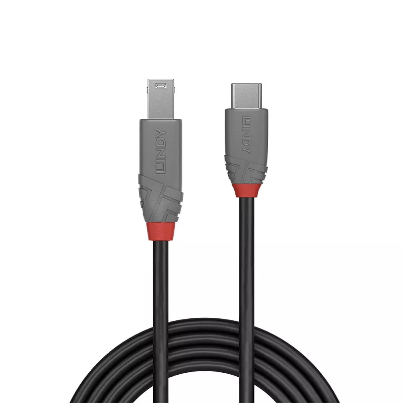 Lindy 3m USB 3.2 Type C to B kaabel, Anthra Line