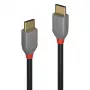 Lindy 2m USB 2.0 Type C to C kaabel, Anthra Line