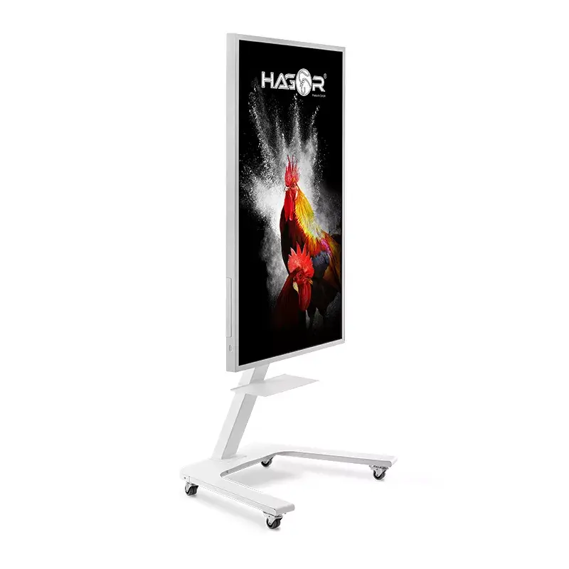 TV seinakinnitus Hagor ST SA Flip II 165,1 cm (65 tolli)