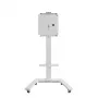 TV seinakinnitus Hagor ST SA Flip II 165,1 cm (65 tolli)