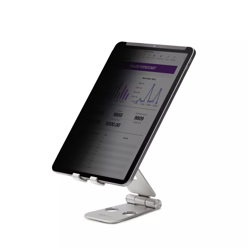 StarTech.com 4-suunaline privaatsusfilter 11-tollisele iPad Pro-le, portree- ja maastikupidis, puutetundlik, +/- 30° vaateväli, blokeerib kuni 51% sinist valgust, peegeldusvastane