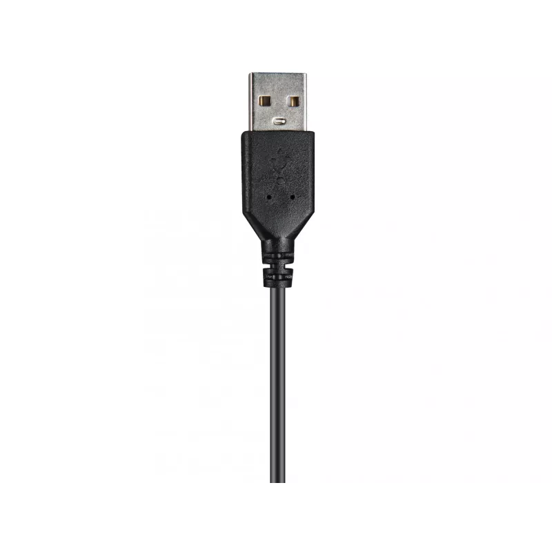 Peakomplekt Sandberg USB Chat Headset