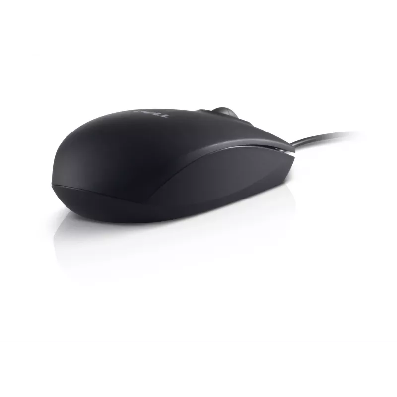 Dell USB optiline hiir MS111 USB Type-A
