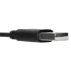 Targus AEH102GL kõrvaklapid/peakomplekt Juhtmega ühendatav Peapael Kõned/muusika USB A-tüüpi Must