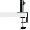 StarTech.com sülearvuti lauaklamber - monitori ja sülearvuti kinnitus - sobib kuni 34-tollistele ekraanidele (8 kg / 17,6 naela) ja sülearvutitele (4,5 kg / 9,9 naela) - liigendatav VESA sülearvutialuse käsi - klamber-/tihendiava kinnitus